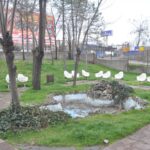 E7yz2b2v82pjx – Gülveren Aile Sağlığı Merkezi Mamak aile sağlığı merkezi – ai...
