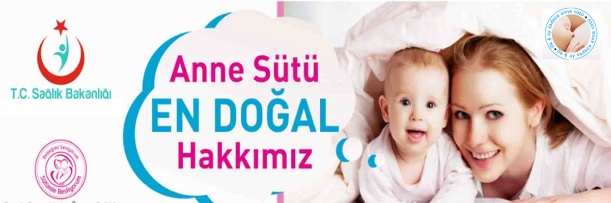 Anne Sütü